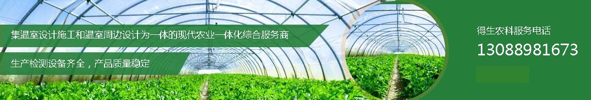 陜西溫室大棚設計 陜西溫室大棚設計